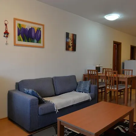 Cozy Ski דירה